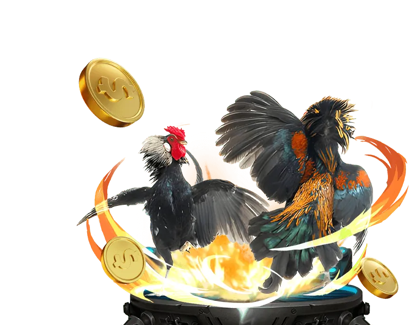 Cá cược bóng đá 98vin