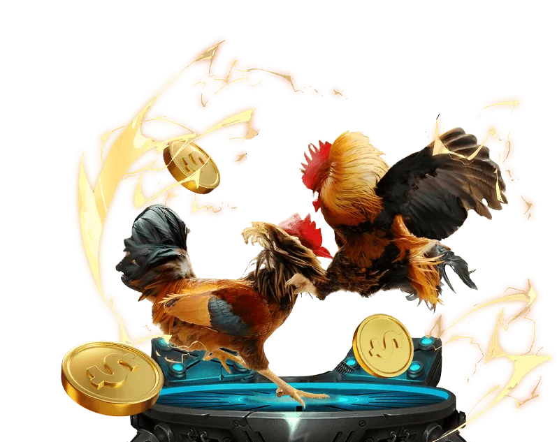 Cá cược quần vợt 98vin